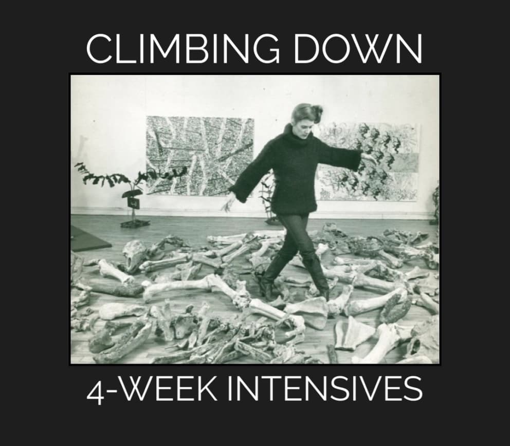 Promotional image for Climbing Down 4-Week Intensives