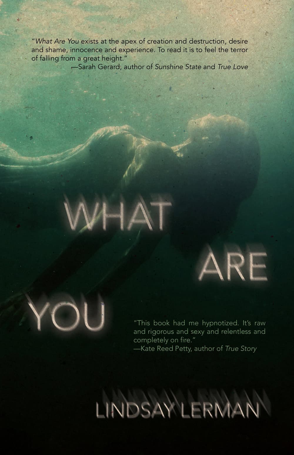 Book cover for What You Are by Lindsay Lerman